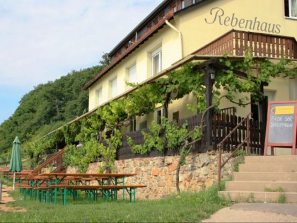 Foto: Rebenhaus